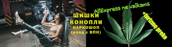 трава Аркадак