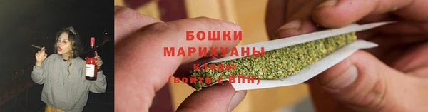 трава Аркадак