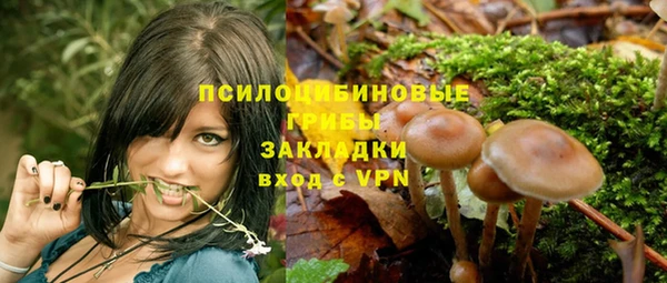винт Арсеньев